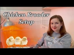 Setting Up New Chicken Brooder - Enclosure Setup