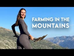 Creating an OFF-GRID Paradise | MEDITERRANEAN Farm