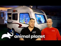 Can this Aquarium Fit in an RV?! | Tanked | Animal Planet