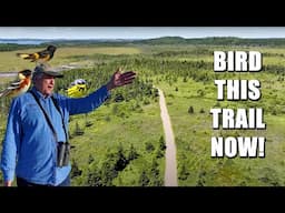 It's a BRAND NEW birding trail nobody knows about.