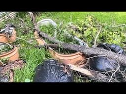 Homesteading Setbacks…This Could Happen to You too….