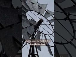 This abandoned windmill in the Australian bush had quite the haunting sound 👻 🎶 #windmill #urbex