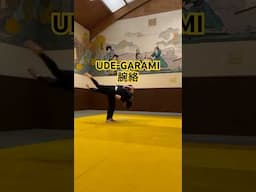 Ude-garami 腕絡　#kodokan #bjj #judo
