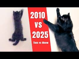 2010 vs 2025: She's Still Trying