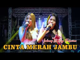 CINTA MERAH JAMBU - INDANG FT MAY FEBRIAN - ODON MUSIC - ANI JAYA - LARAS PRO