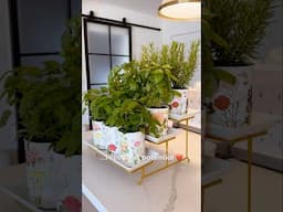 ✨DIY KITCHEN HERB GARDEN 🪴