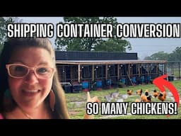 Inside Our Chicken Hatchery From Egg to The Ultimate Coop in 60 Days