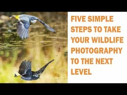 HOW TO TAKE YOUR WILDLIFE PHOTOGRAPHY TO THE NEXT LEVEL