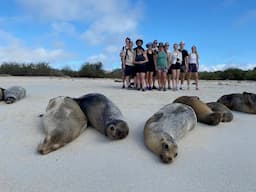 Galápagos Islands and Quito with HX