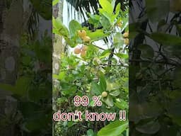 Guess the fruit❓⁉️ 🍑 🍓 Write in the comments #new #trending #shortvideo #trendingshorts #fruits