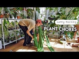 Delving Into Prop Boxes, Pollination + Plant Rehabbing 🌿