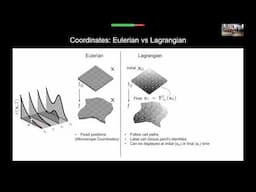 Morphogen Patterning in Dynamic Tissues