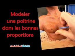 Cours de sculpture gratuit - Comment modeler une poitrine dans les bonnes proportions