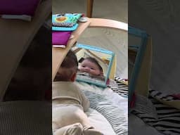Watch What Happens When Baby Discovers Their Reflection!