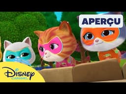 En juin sur Disney Channel !