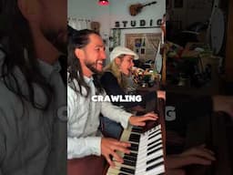 Ever had to drop this bombshell on someone? Hopefully not! #newmusic #walkofftheearth