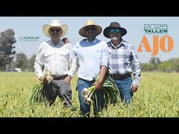 REPRESENTATIVA cadena PRODUCTIVA / TALLER INTERNACIONAL de AJO🧄🧄2025
