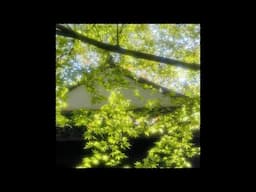 {#2} the summer that slipped away...