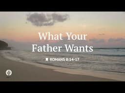 What Your Father Wants | Audio Reading | Our Daily Bread Devotional | June 14, 2025