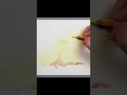 Let's Draw... An Easter Chick #coloredpencil #drawing #prismacolor #easter #chickdrawing #art