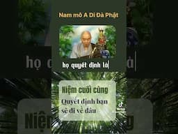Niệm cuối cùng quyết định con đường Tái sinh  #taisanh #taisinh #Adidaphat #nammoadidaphat