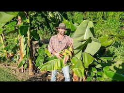 How Much Land, What to Plant & Growing Rare Fruit – Full Q&A