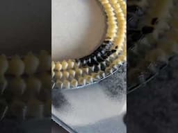 Another way to use macaroni shells you didn't know about #diydecor #craftyideas