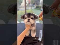 나 똑단발 잘 어울리는 것 같아?
