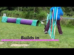 Training through the struggles of weave poles with handler distraction
