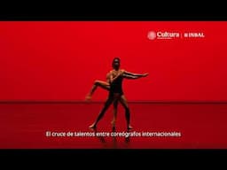 Arte en corto 304