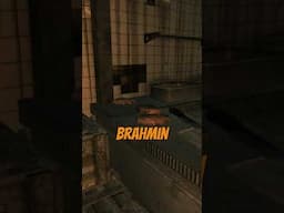You Can't Eat This Meat in Fallout: New Vegas