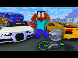 RACING CAR Challenge - Minecraft Animation