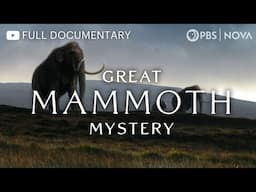 Great Mammoth Mystery | Full Documentary | NOVA | PBS
