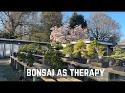 Bonsai as Therapy