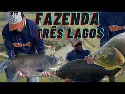 Muita Ação na Fazenda Três Lagos em Xerém - Fishingtur na TV 1072