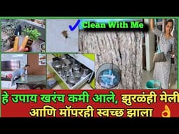 Kitchen Tips/झुरळं मरून पडली/काळाकुट्ट मॅापरअसा स्वच्छ झाला/Being Homemaker/Cleaning Hacks/Motivatio