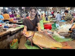 Market show: Big Gold Fish cooking - Buy big fish for 2 recipes