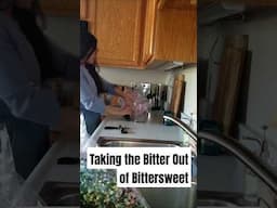 Taking the bitter out of bittersweet | #SHORTS (2023)