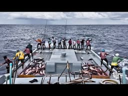 Why Skipjack Tuna Are the MOST FUN to Catch