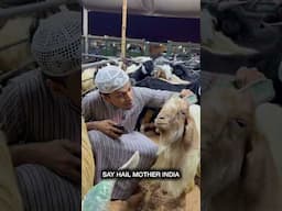 Which country Eid Goat ?? 😂♥️ #funny #eid #goat