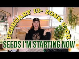 Veg & Herb Seeds to Sow in February- Zone 6