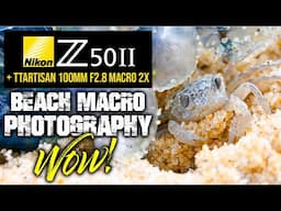 Nikon Z50II Beach Macro Photography | WOW!