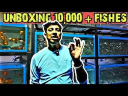 FISH FARMING BUSINESS | ORNAMENTAL FISH FARM | FISH FARM | FISH FARMING | ANIL PATIL