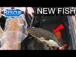 Last Minute Rescue! What did we get?