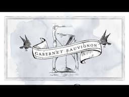 Catena Zapata Birth of Cabernet Animation