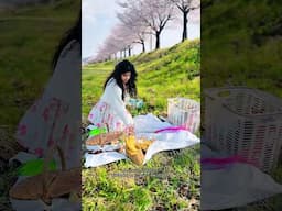 ලස්සනම ලස්සන චිත්‍ර කතාවක්.. 🌸🇰🇷 #spring #fyp #shorts #love #picnic #srilanka
