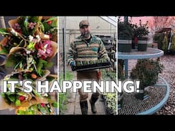 Styling The New Plant Nursery For Our Soft Opening | Plant Haul
