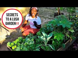 How To Keep Your Garden LUSH with LIMITED PEST PROBLEMS