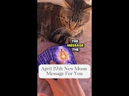 April 27th Super New Moon Message For You 🌑💛✨