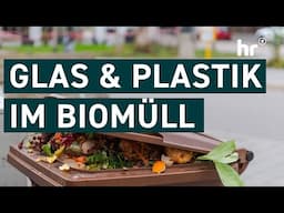 Bußgeld droht: Biotonne - Was darf rein und was nicht? | Die Ratgeber